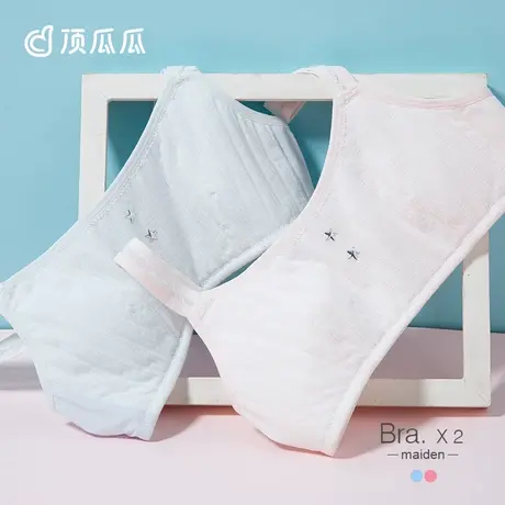 顶瓜瓜发育期学生舒适无痕少女文胸 夏季新款少女内衣舒适2件装图片