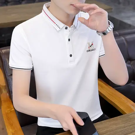 纯棉男士t恤半袖翻领高端刺绣短袖POLO衫夏季体桖衫带领上衣潮流商品大图