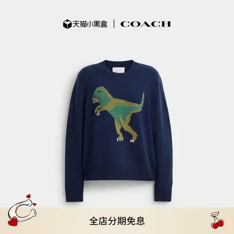 【新品】COACH/蔻驰女士REXY图案圆领毛衣含羊毛上衣舒适休闲商品大图