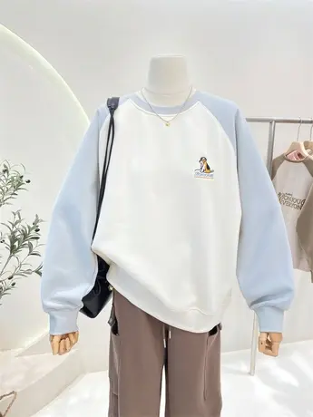 圆领长袖卫衣女秋季新款高级感刺绣拼色插肩袖宽松休闲套头上衣图片