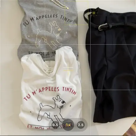 ins超火可爱小狗印花短袖T恤女夏季设计感半袖体恤宽松纯棉上衣服图片