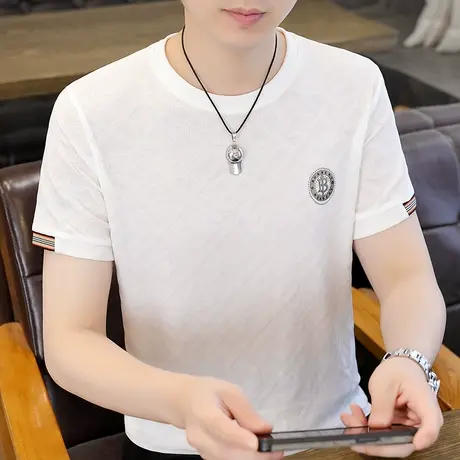 夏季男士圆领冰丝短袖t恤潮流圆领休闲百搭体恤潮牌男青年上衣服商品大图