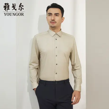 【商场同款】雅戈尔男士长袖衬衫春季新款官方商务休闲男衬S3684商品大图