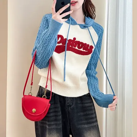 唐狮秋冬毛衣女美式校园风连帽插肩袖套头高级感针织衫上衣女tu图片