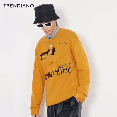 TRENDIANO潮牌官方秋冬时尚简约风毛衣潮流圆领套头刺绣针织衫男商品大图