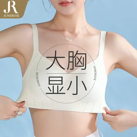 六月玫瑰夏季清透凉爽内衣薄款调整型上托无钢圈大胸显小文胸罩商品大图