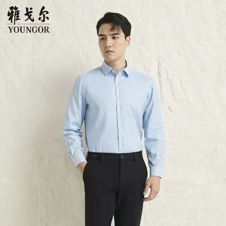 【商场同款】雅戈尔男士长袖衬衫新款官方商务休闲上班穿衬衫男商品大图