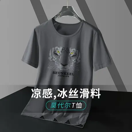 莫代尔冰丝短袖t恤男圆领上衣服潮牌潮流ins夏季冰感半袖体恤衫男商品大图