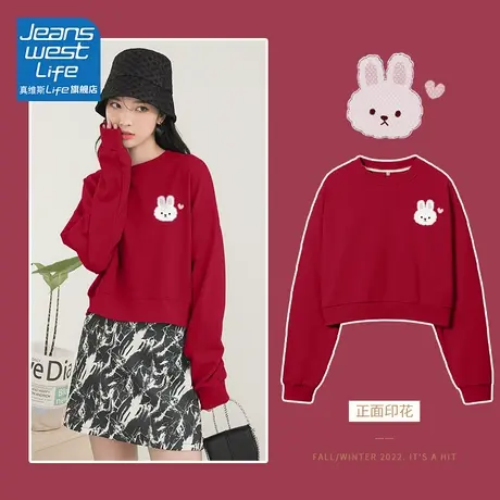 真维斯LIFE长袖外套女春秋2023新款韩系慵懒风高级感超好看卫衣商品大图