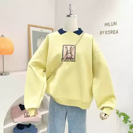 小个子上衣2023春季新款韩国东大门ins兔子撞色polo领卫衣设计感图片