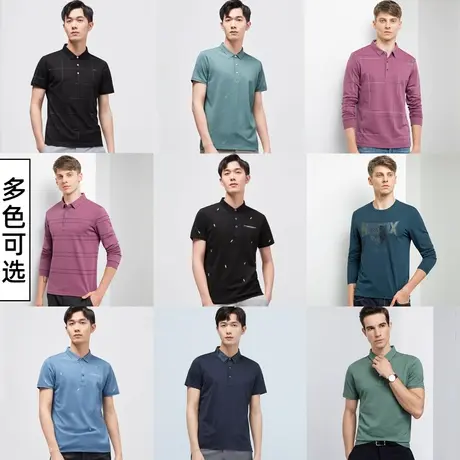 罗蒙男士短袖Polo衫2023夏季新款中老年商务休闲短袖翻领T恤衫男商品大图