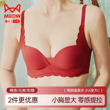 猫人内衣女小胸聚拢秋冬上托显大收副乳防下垂新款女士性感文胸罩图片