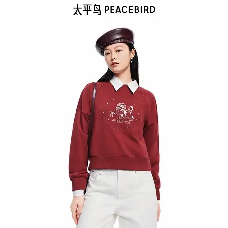 太平鸟女装2025年 新款女士时尚圆领刺绣图案套头卫衣A1CRF1249图片