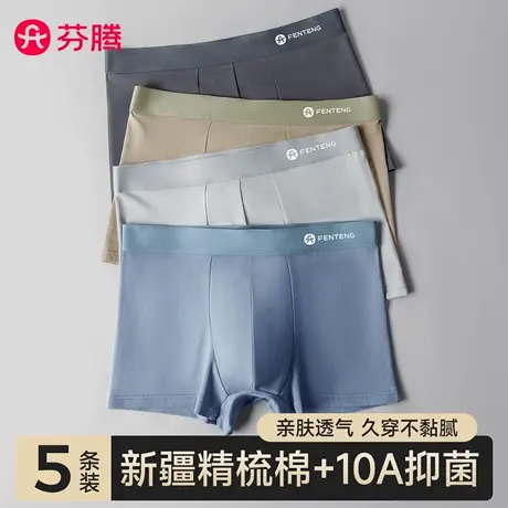 芬腾男士内裤男款纯棉四角裤2025新款男生全棉抗菌裆透气平角裤头商品大图