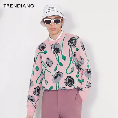 TRENDIANO潮牌官方新款春季男装毛衣植物印花针织衫男3NE1033650商品大图