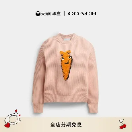 【新品】COACH/蔻驰女士胡萝卜图案厚实圆领含羊毛毛衣上衣休闲商品大图