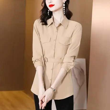 春秋装时尚衬衫长袖女2023秋季女士气质设计感小众收腰雪纺衬衫女商品大图