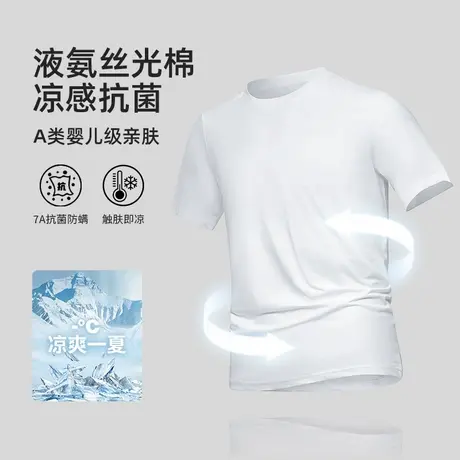 液氨丝光棉白色t恤男短袖冰丝凉感抗菌防螨半袖抗皱免烫纯色体恤图片