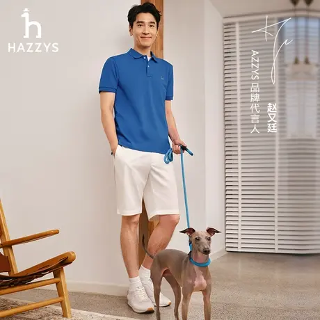 Hazzys哈吉斯春夏新款男士休闲短袖POLO衫上衣通勤纯色简约T恤潮图片