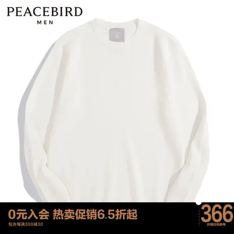 太平鸟男装毛套衫BYEBC3G07商品大图