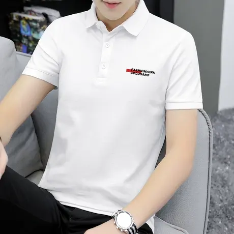 短袖t恤男士polo衫保罗翻领冰丝凉感上衣服潮牌字母印花有领半袖商品大图