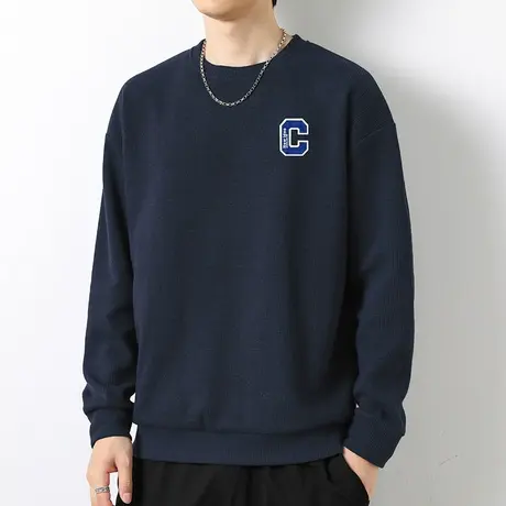 华夫格卫衣男2024新款秋冬款圆领长袖t恤宽松潮流百搭无帽上衣服商品大图