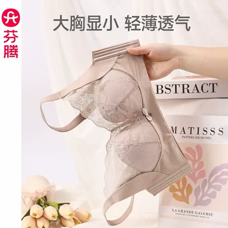 芬腾内衣女性感法式蕾丝文胸大胸显小聚拢防下垂收副乳无钢圈胸罩图片
