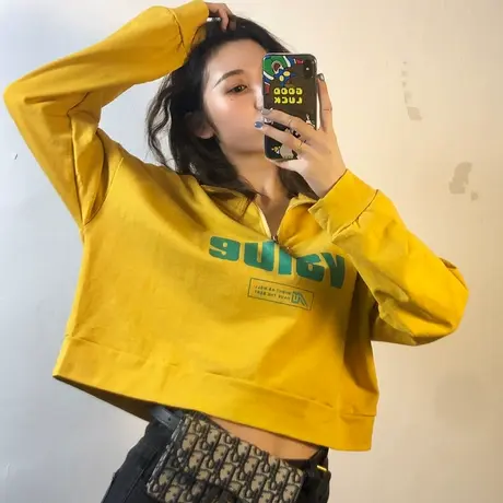 短款立领卫衣女2019新款韩版宽松bf慵懒风春秋薄款ins超火cec外套图片