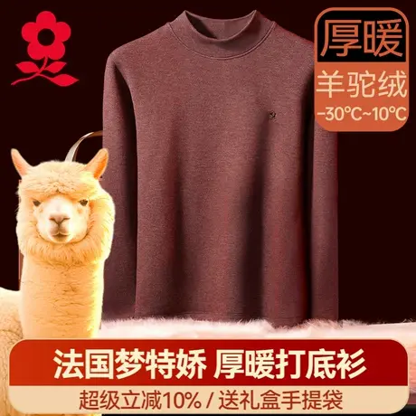 梦特娇加厚加绒保暖内衣男士半高领打底衫德绒发热秋衣内搭上衣冬商品大图