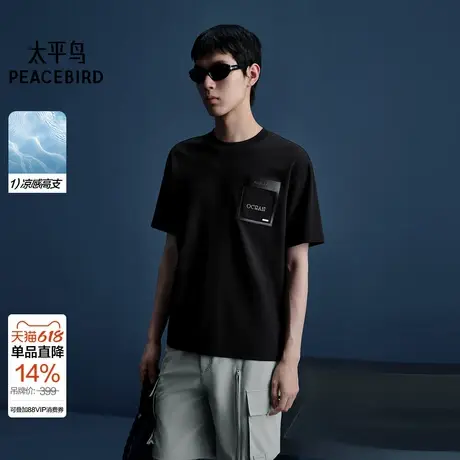 【商场同款】太平鸟男装 休闲T恤凉感索罗娜重磅刺绣T恤B1CNF2618图片