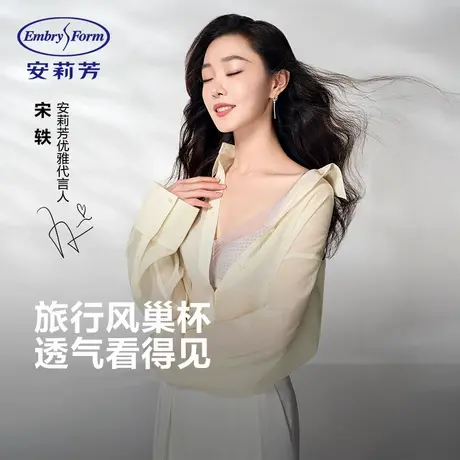 【宋轶同款 风巢杯】安莉芳夏季薄款透气文胸女大胸显小无痕内衣商品大图