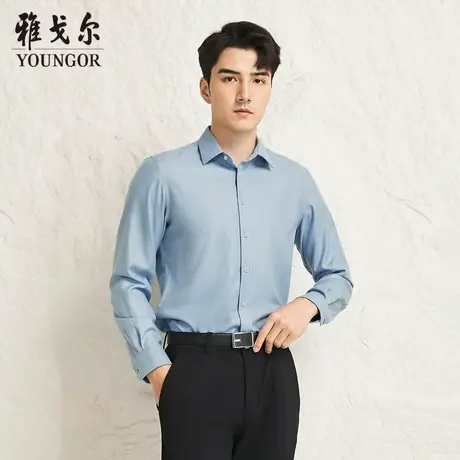 【商场同款】雅戈尔男士长袖衬衫新款官方商务休闲上班穿衬衫男商品大图