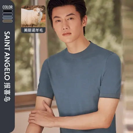 【美丽诺羊毛】报喜鸟秋季新款男时尚休闲短袖针织衫男半高领毛衣图片