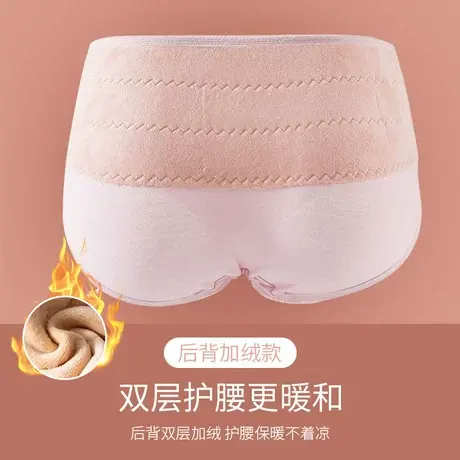 暖暖裤~护腰保暖内裤女后片加绒加厚锁温短裤中腰收腹三角裤秋冬商品大图