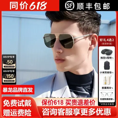 暴龙太阳镜经典飞行员偏光墨镜男开车驾驶镜官方旗舰店正品BL8101商品大图