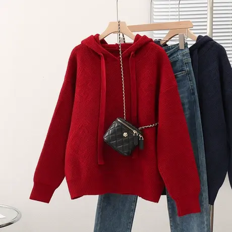 2023秋冬新款女士毛衣针织衫外套连帽宽松长袖套头纯色慵懒风上衣商品大图