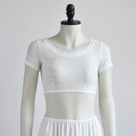 花纹网纱短款打底衫秋季新款女装半身半截短袖圆领内搭透视T恤商品大图