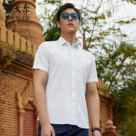 【凉感衬衫】D系雅戈尔衬衫夏季商务休闲DP免烫格纹短袖衬衫男商品大图
