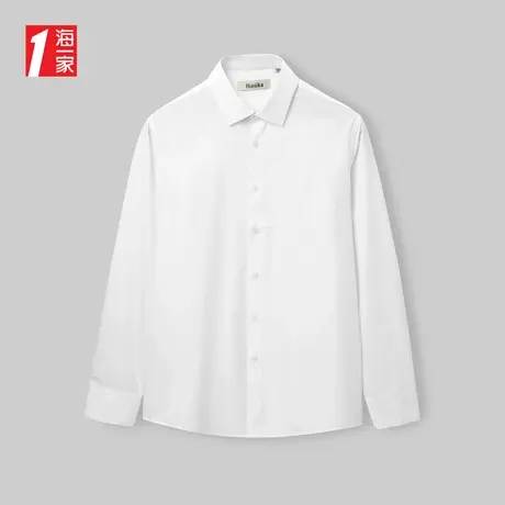 海一家商务正装长衬2024春季时尚休闲男士长袖衬衫图片