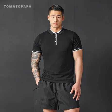 TOMATOPAPA夏季2025款POLO翻领短袖男商务休闲运动教练训练百搭t商品大图