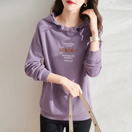 2023年新款卫衣女春秋薄款初秋上衣韩版早秋季设计感小众美式复古商品大图