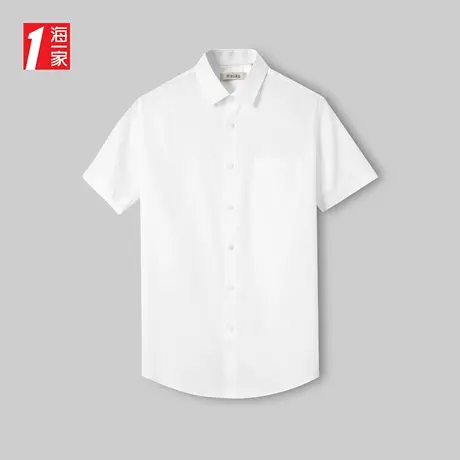 海一家商务休闲短衬2023夏季新款职业正装中年男士短袖衬衫商品大图