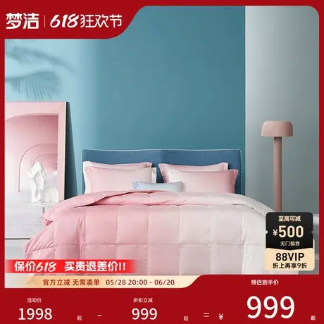 【商场同款】梦洁家纺95%波兰白鹅绒夏被羽绒被子被芯净彩汝意商品大图