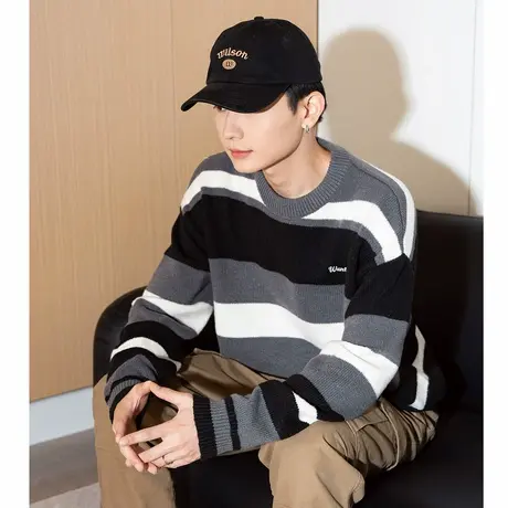 唐狮秋冬季毛衣外套新款男毛线衫针织开衫简约休闲风百搭帅气潮TE图片