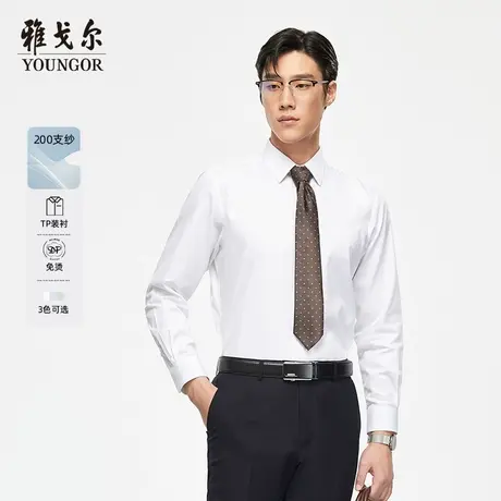 【200支】雅戈尔秋季新款商务休闲纯棉TNDP免烫高端长袖衬衫4380图片