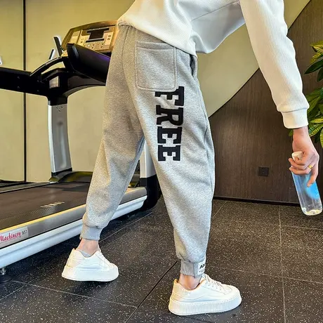 秋冬款加绒束脚卫裤男美式字母印花宽松运动哈伦裤青年加厚休闲裤商品大图