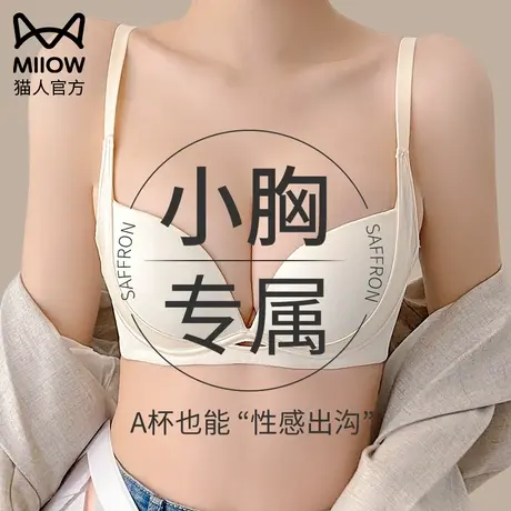 猫人内衣女聚拢小胸秋冬季穿出圆圆胸收副乳提拉半杯显大无痕文胸图片