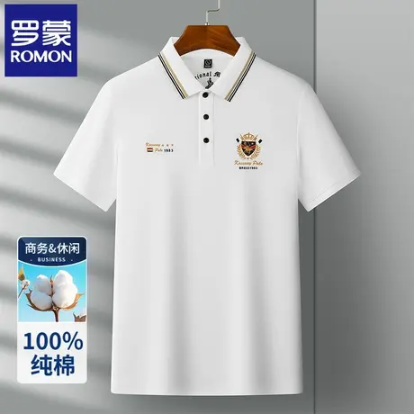 罗蒙高端男士纯棉POLO衫短袖T恤夏季薄款时尚刺绣翻领半袖体恤N2Z图片