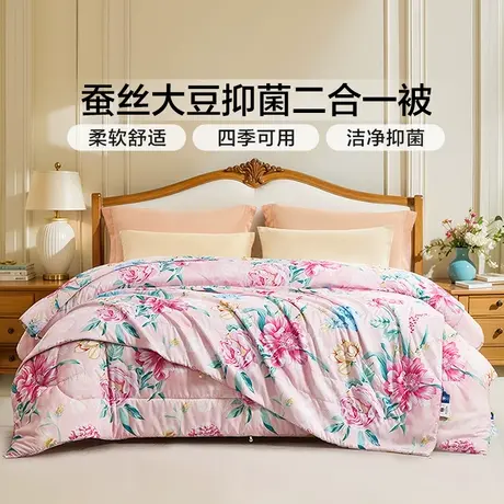 富安娜蚕丝大豆被芯二合一被空调被春秋被褥四季被子单双人子母被商品大图