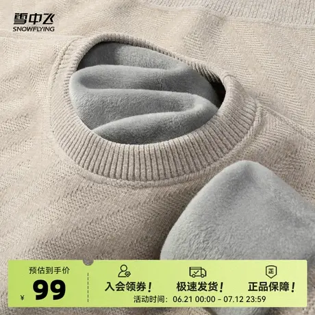 雪中飞25秋新款男士早春斜条纹毛衣百搭保暖简约挺阔有型W商品大图
